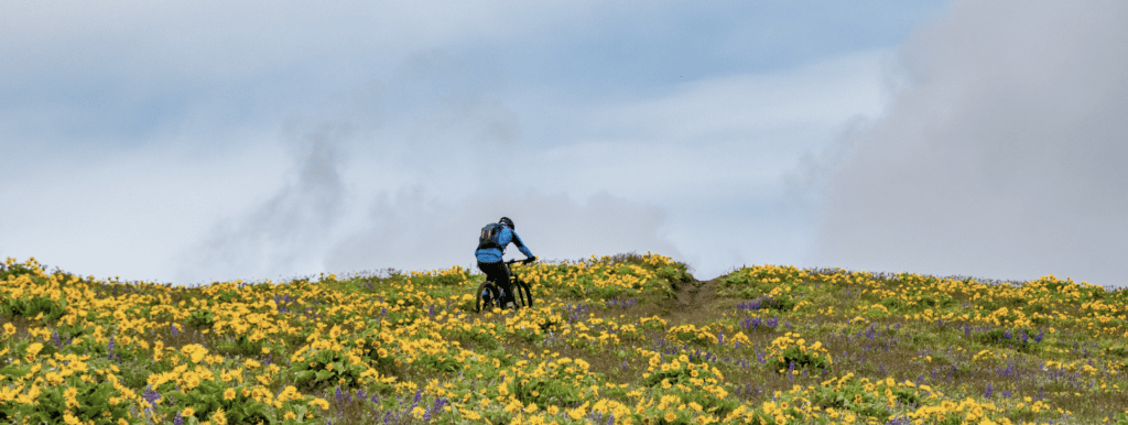 Biking in the Columbia River Gorge